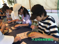 スライド15