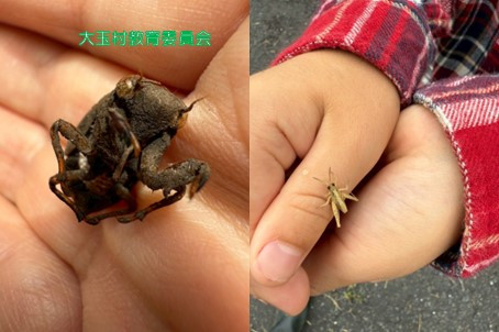 スライド8