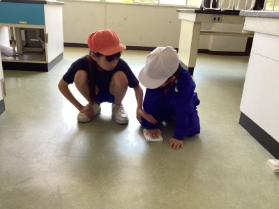 Image_20250513_150404_355