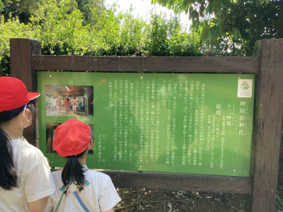 Image_20250606_133824_464