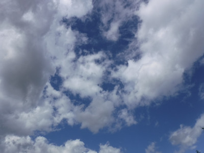 DSCF8002