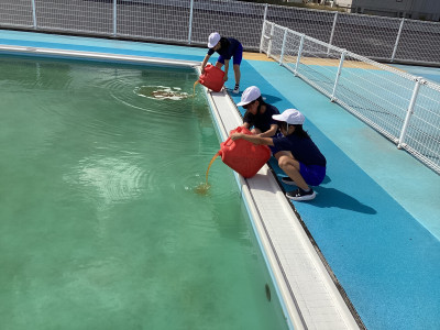 Image_20251006_153736_197