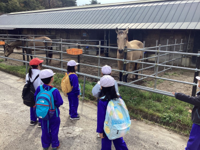 Image_20251031_162828_662