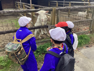 Image_20251031_162828_739