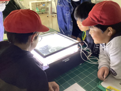 Image_20251031_155240_231