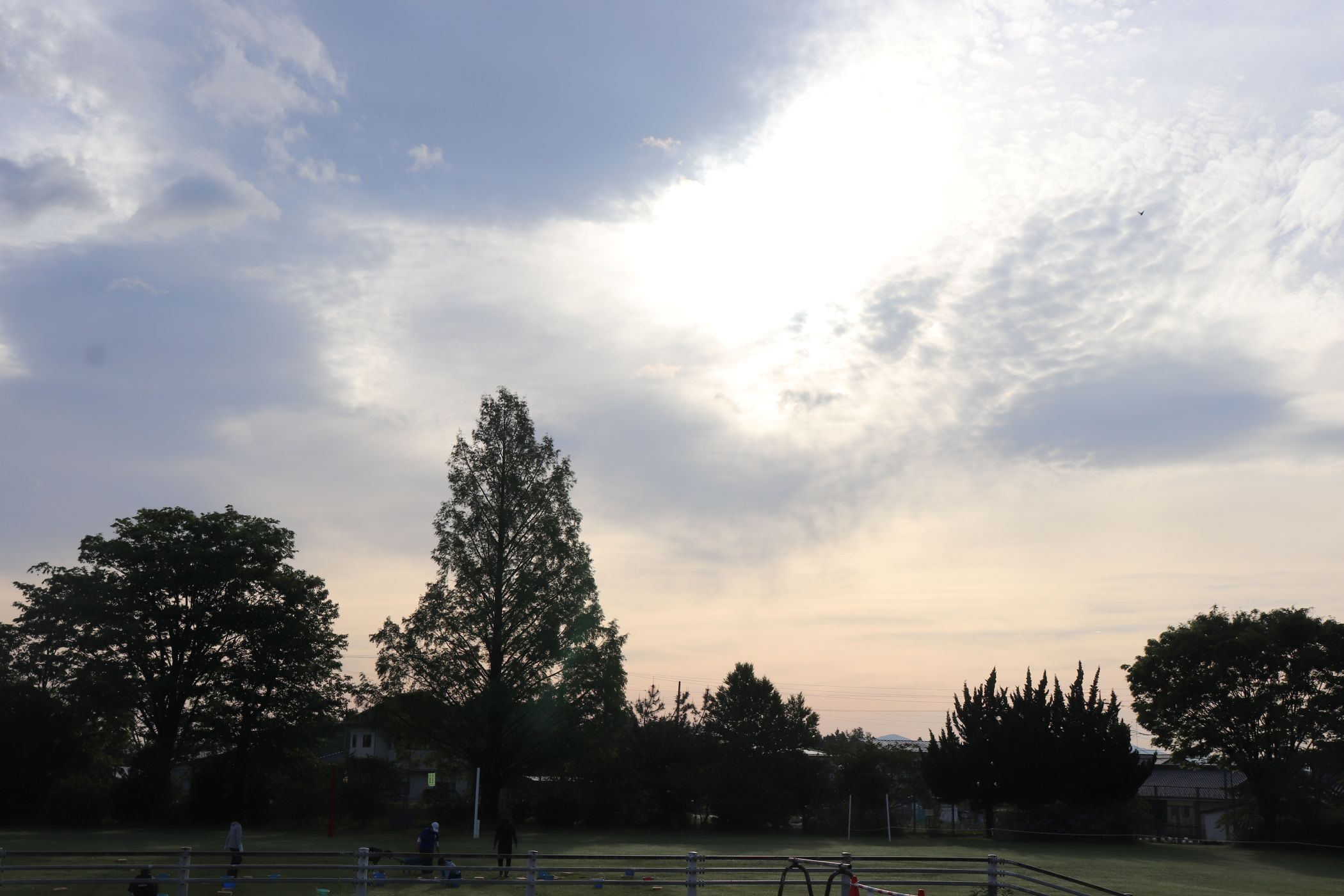 ①IMG_0288