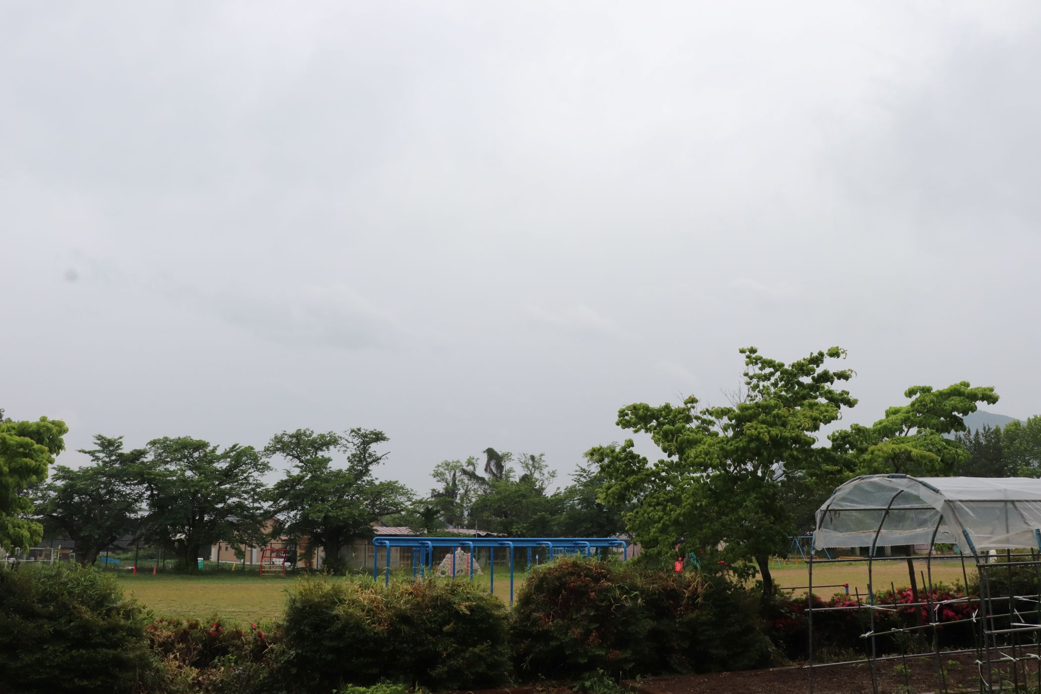 ①IMG_1169