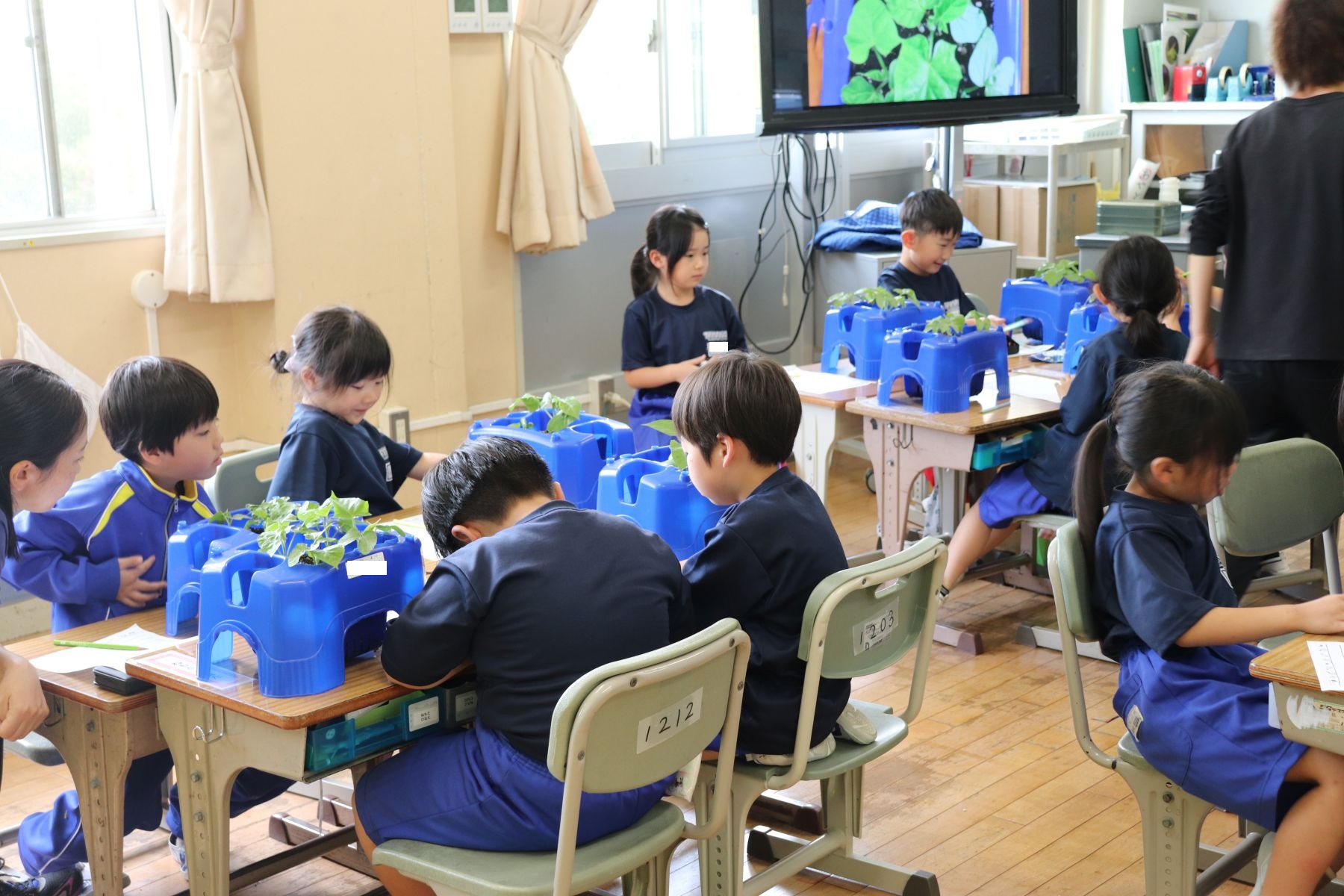 ①IMG_1229