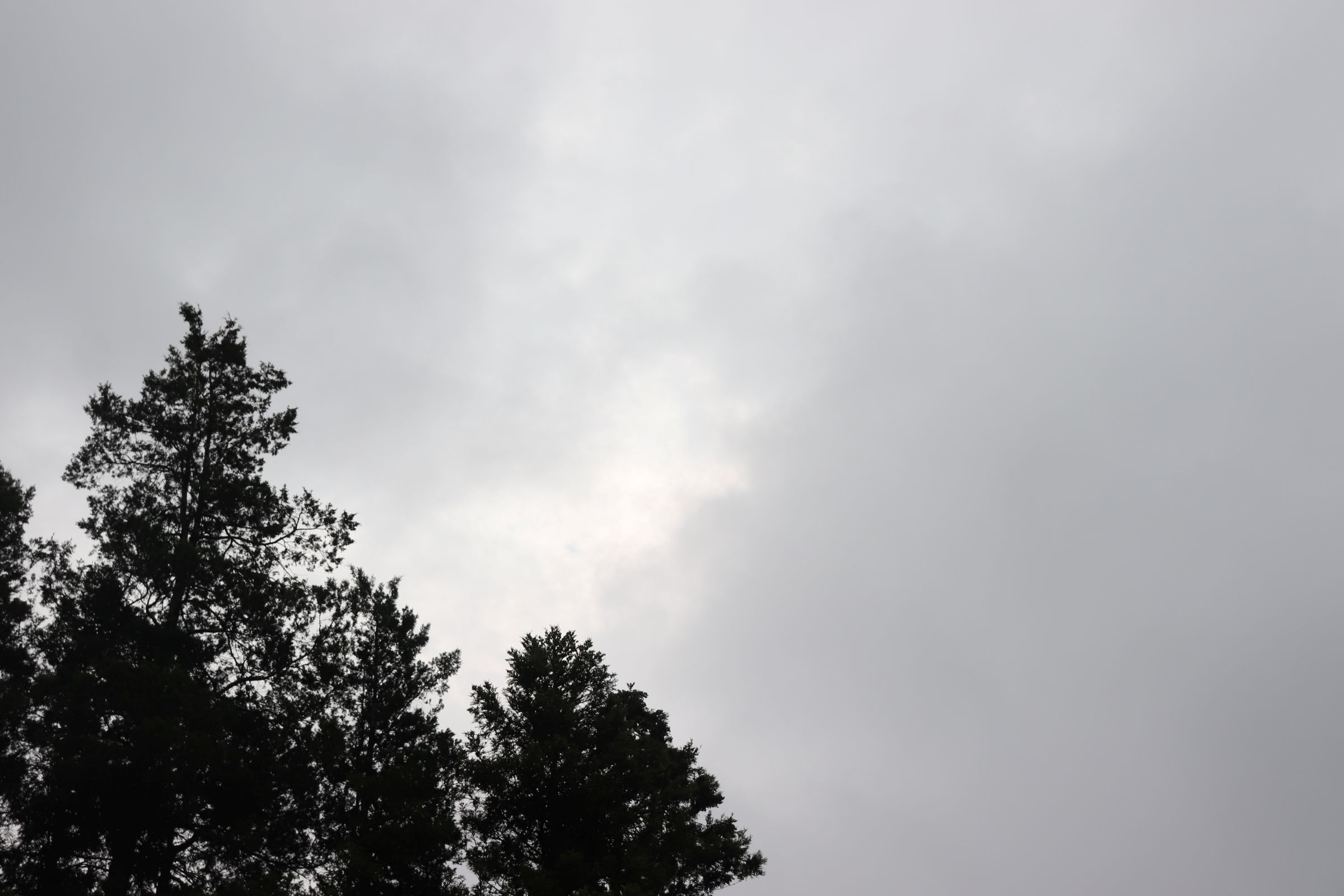 ①IMG_2080