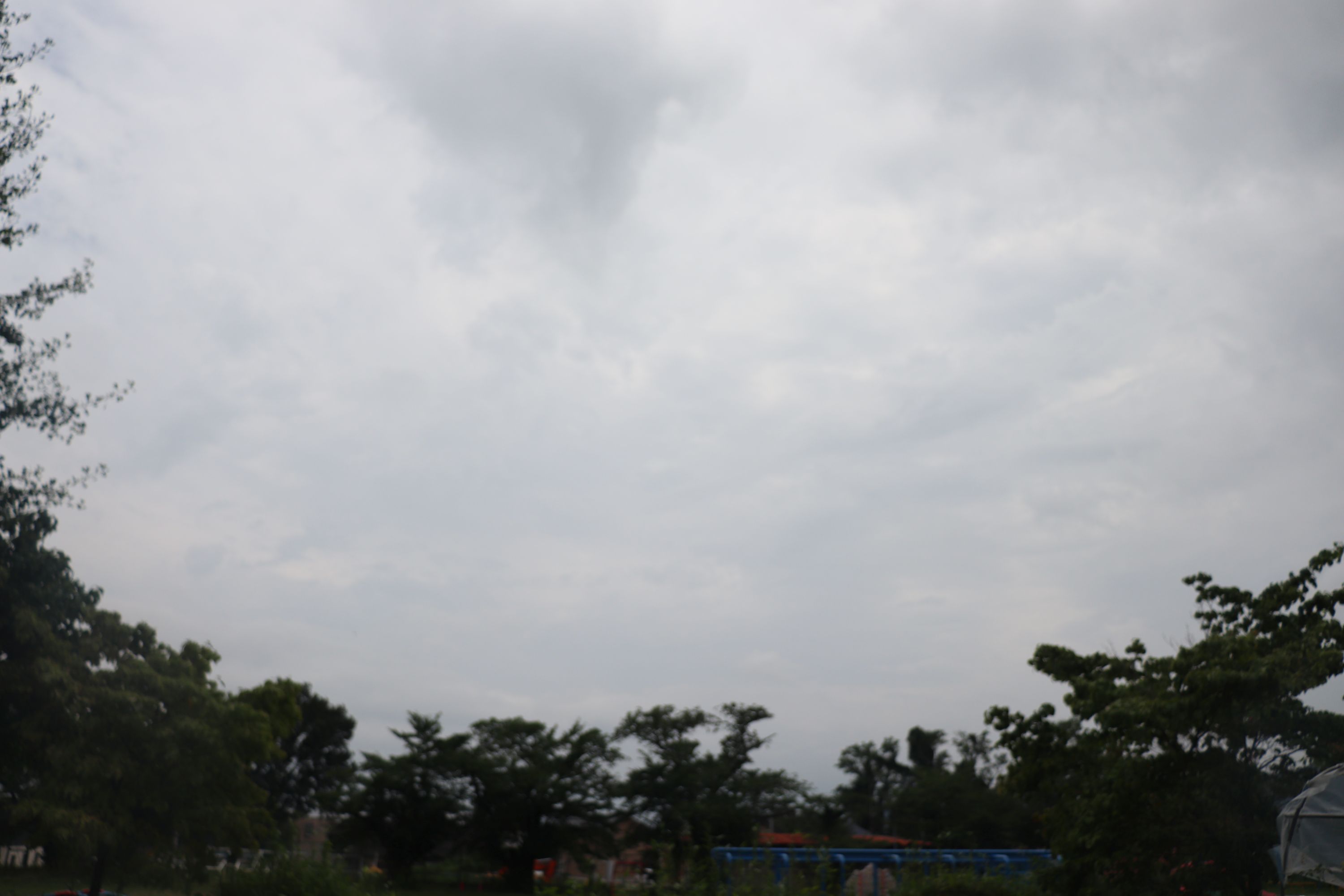 ①IMG_2235