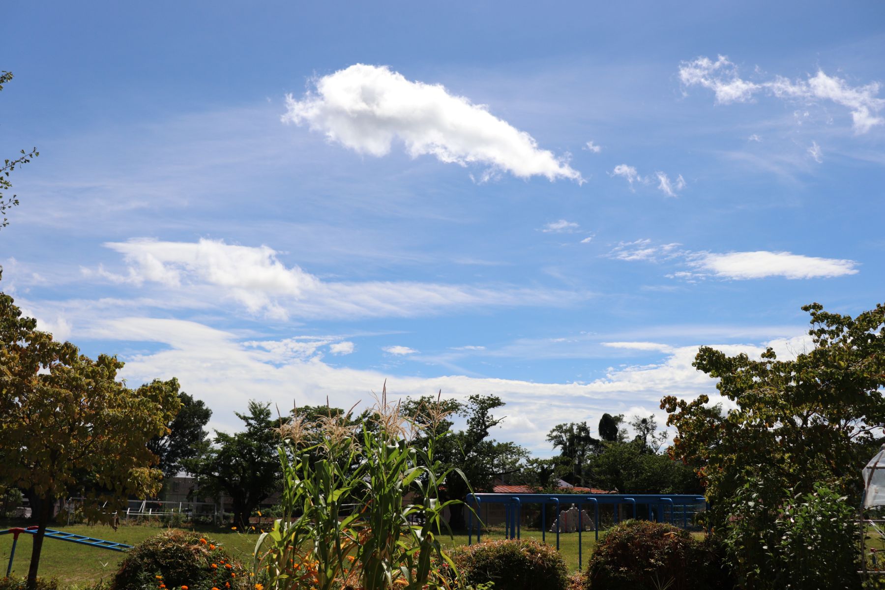 ①IMG_2787