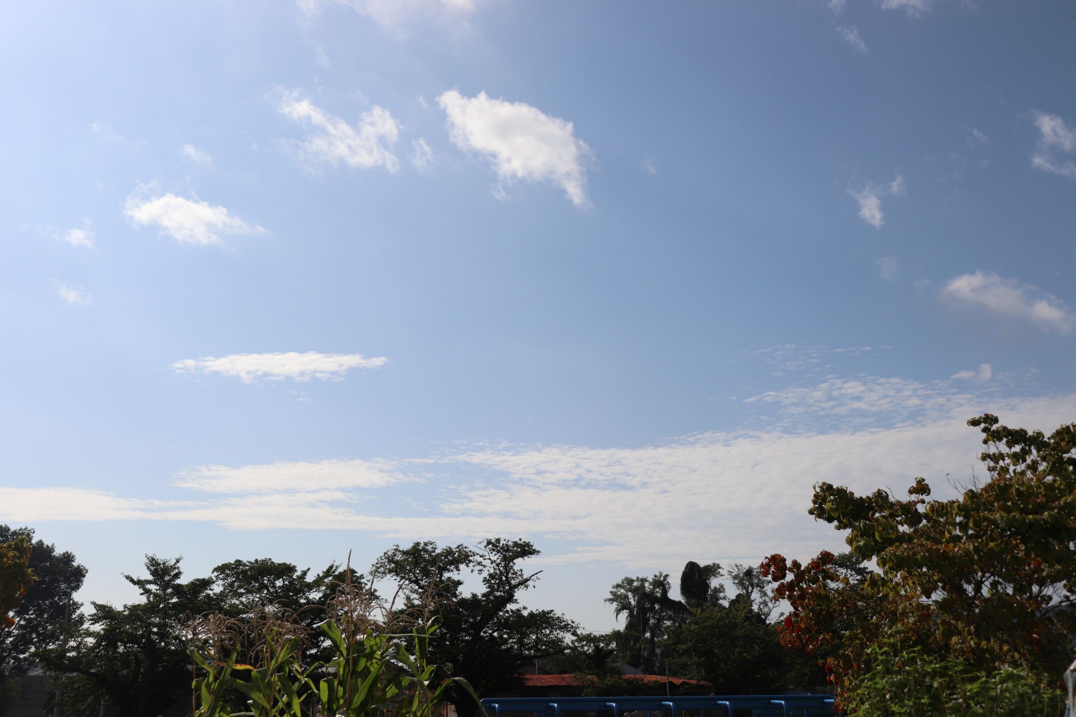 ①IMG_3154