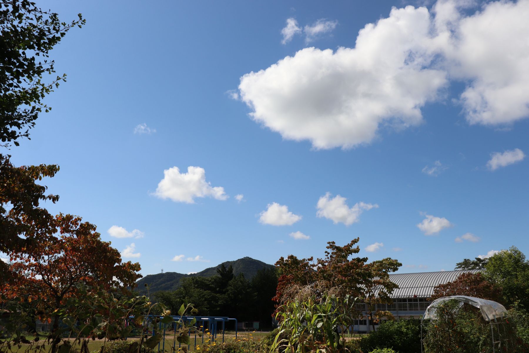 ①IMG_3373