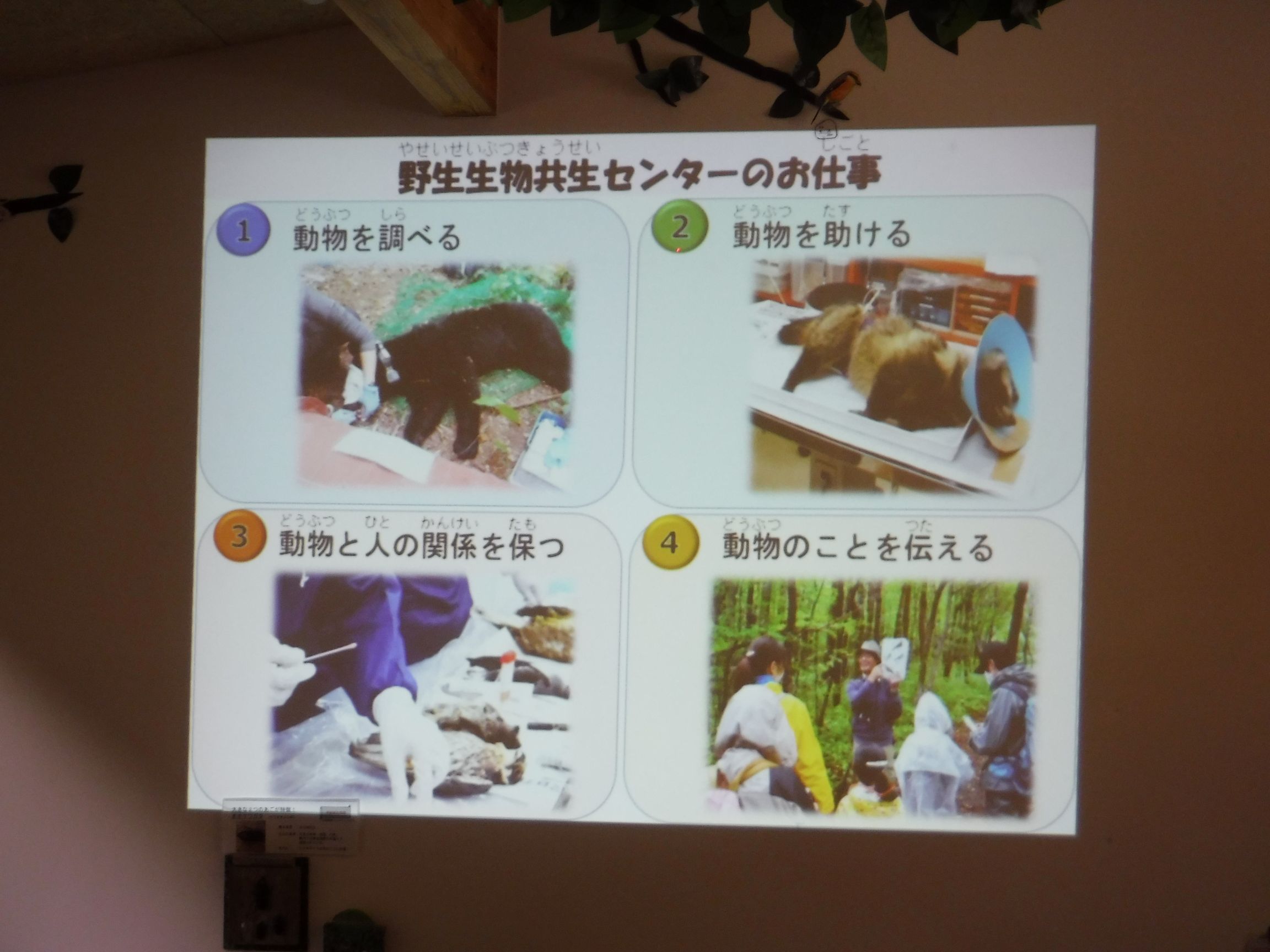 ①DSCF4911