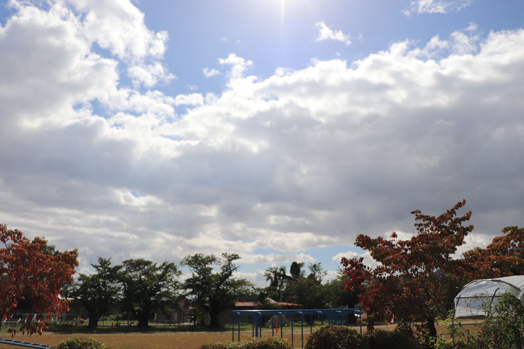 ①IMG_4238