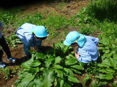 P1270400
