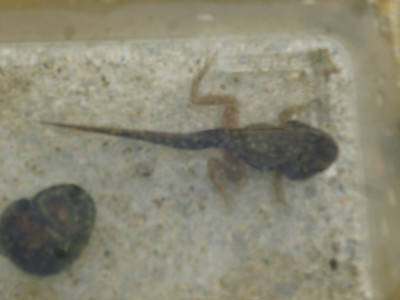P1280306