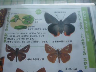 P1280926